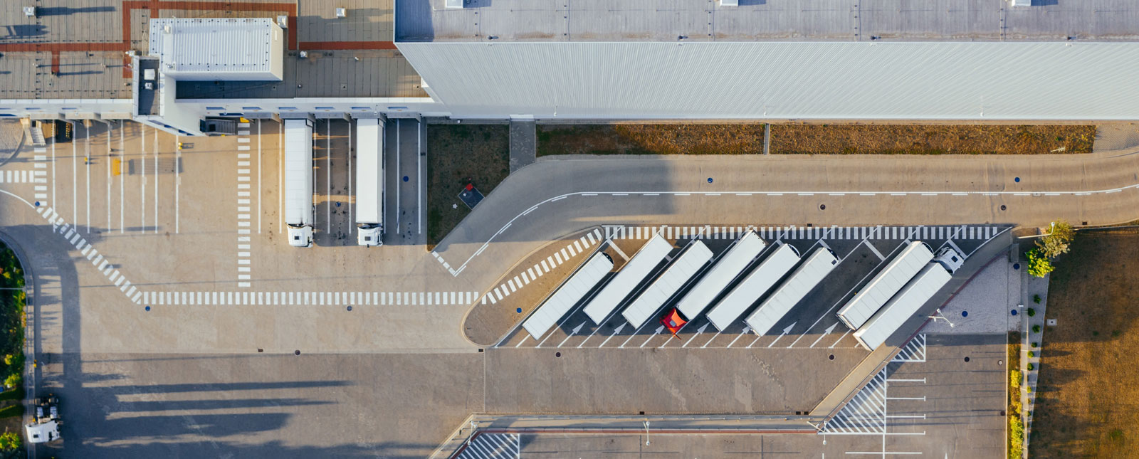 Food Distribution Centre Case Study Banner)