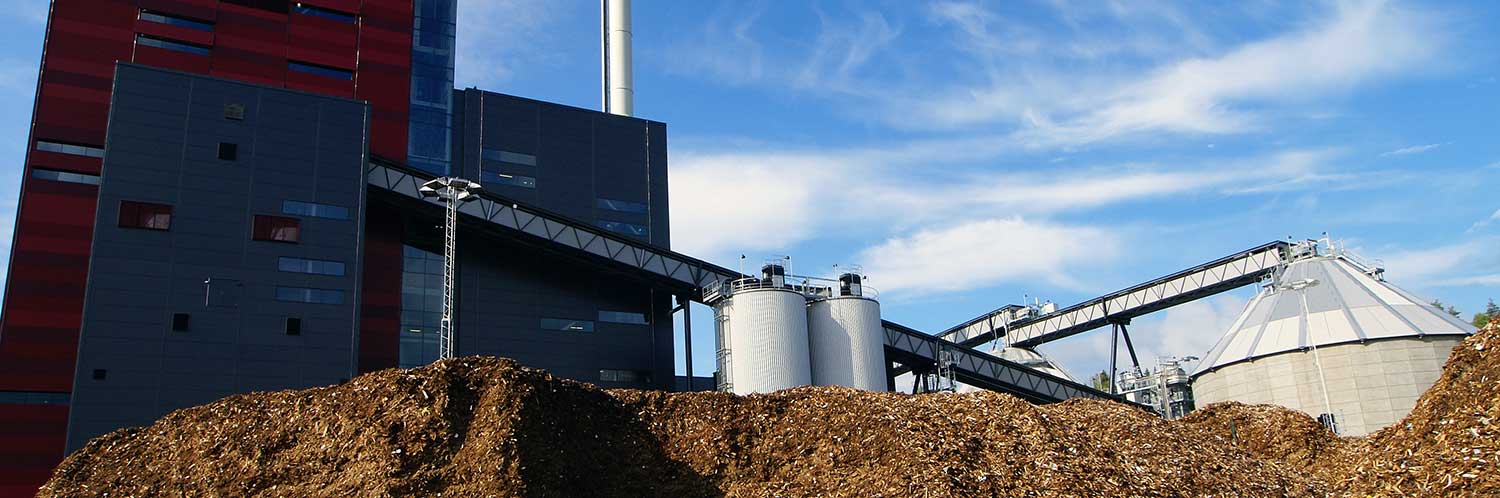 Biomass Plant